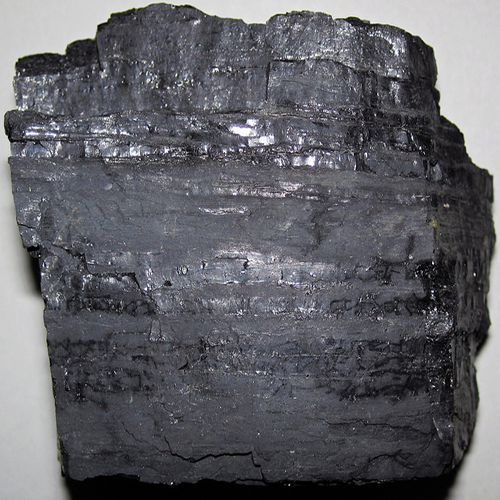 Coal