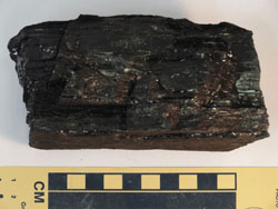 Bituminous coal