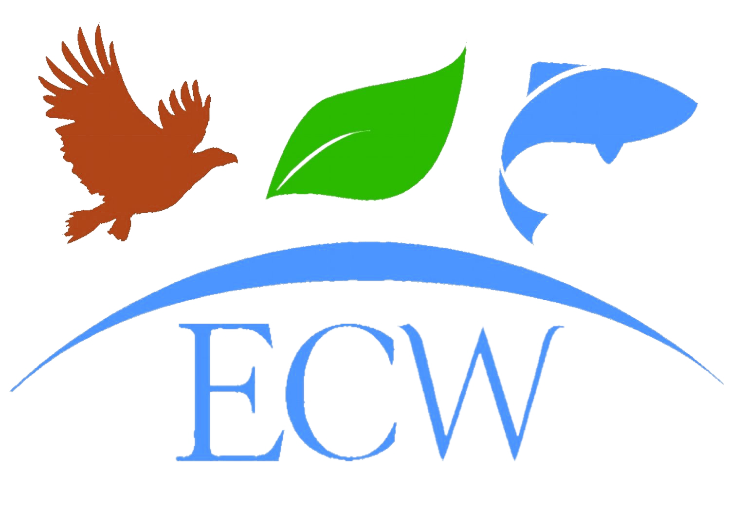 ECW Homepage
